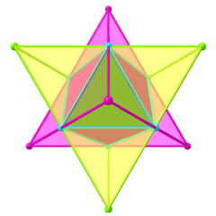 1040_stellaoctangula_01_00.png